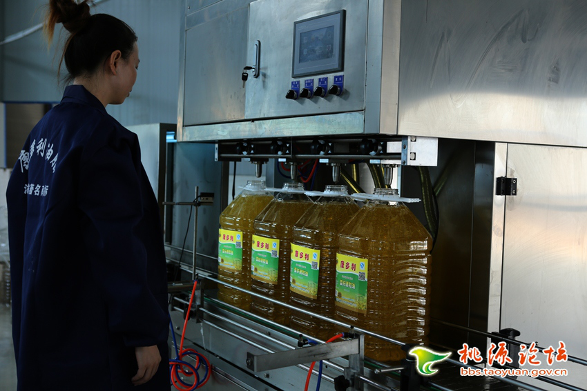 来利国际w66,油茶莳植生产加工销售,植物油莳植生产加工销售